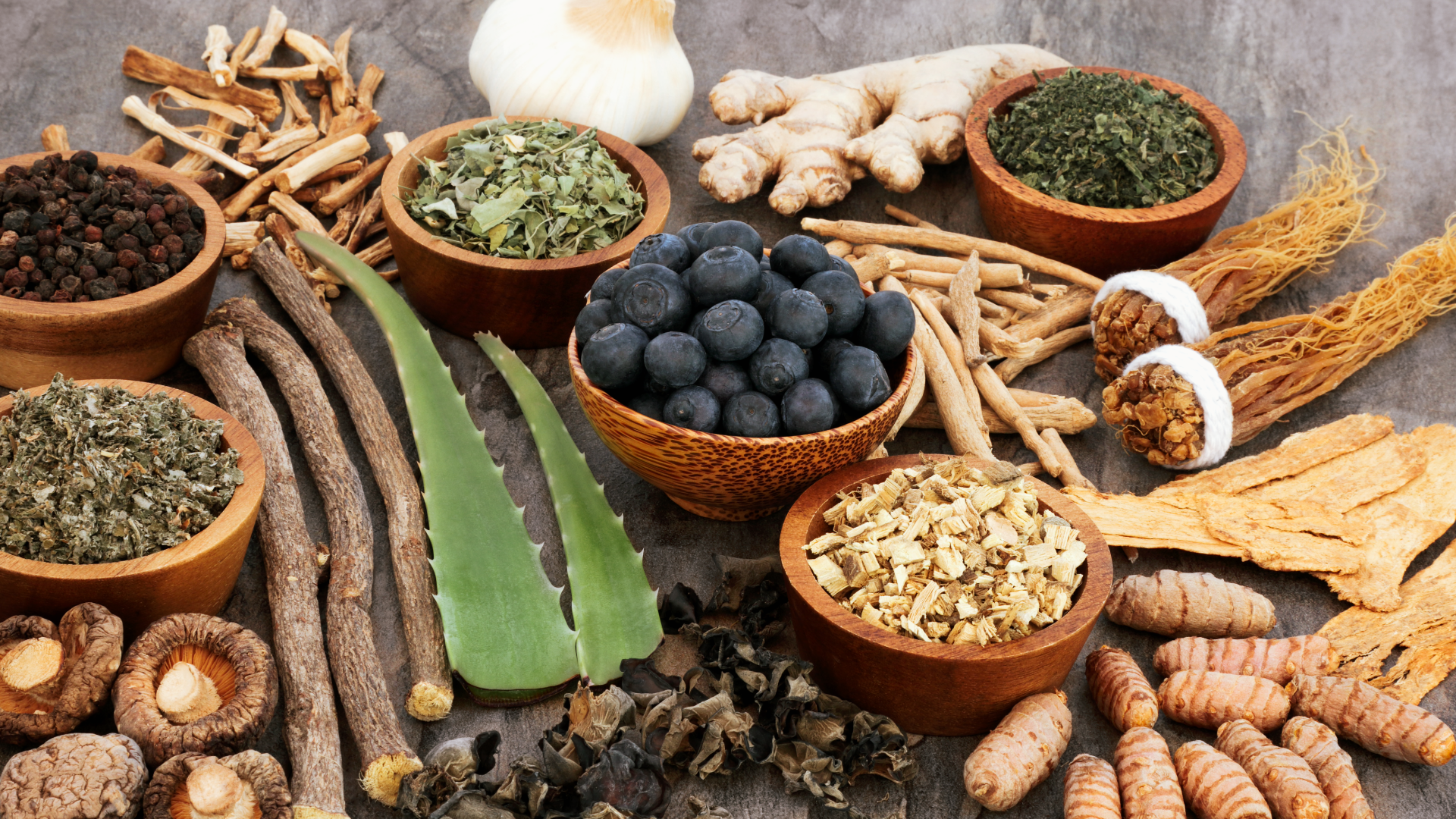 What Is an Adaptogen? A Plain-Language Guide