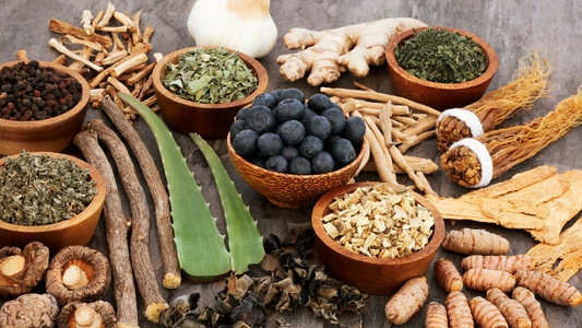 What Is an Adaptogen? A Plain-Language Guide