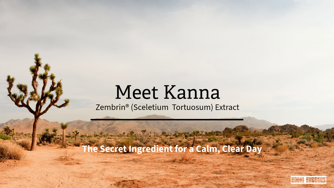 The Secret Ingredient for a Calm, Clear Day: Meet Zembrin (Kanna)